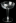 champagne glass